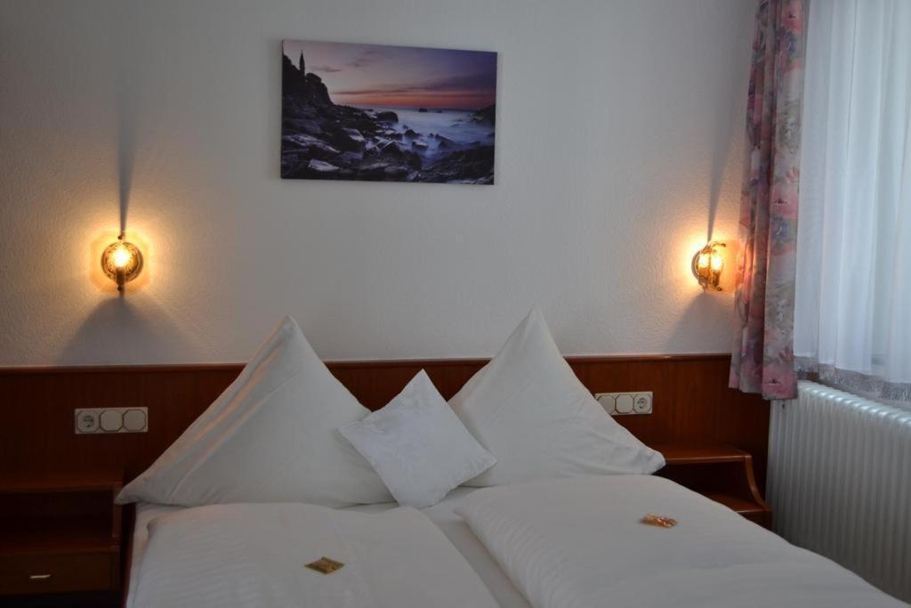 Hotel Hofgarten Bad Buchau Buitenkant foto